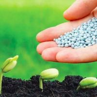 Doanh nghiệp ngành hóa chất, phân bón bùng nổ quý 1, lợi nhuận tăng bằng lần so với cùng kỳ 2021