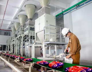 Hoá chất Đức Giang (DGC) báo lãi quý 2 giảm quá nửa so với cùng kỳ, 60% tài sản đem gửi ngân hàng